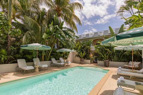 Day, Natural landscape, Garden, Garden view, Pool view, Swimming pool, sunbed
