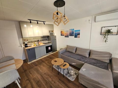 Kitchen or kitchenette, Living room, Seating area, Dining area, oven, stove