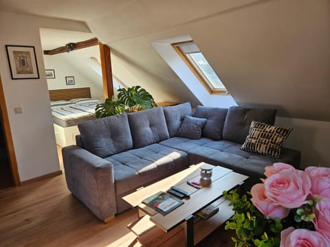 Bed, Living room, Photo of the whole room, Seating area, Bedroom