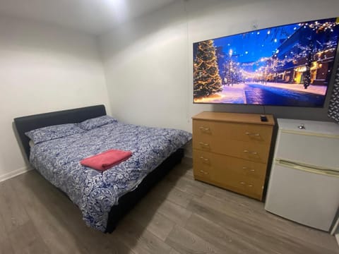 Bed, TV and multimedia, Kitchen or kitchenette, Photo of the whole room, Bedroom, hair dresser, minibar