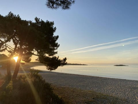 Agréable 3 pièces, parking, piscine chauffée Apartment in Quiberon