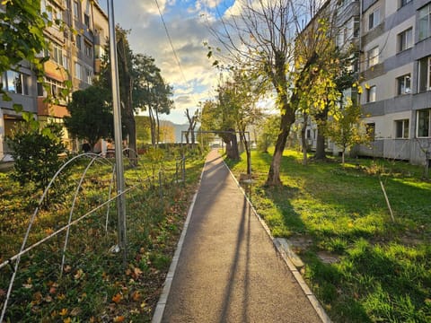 Property building, Day, Neighbourhood, Natural landscape