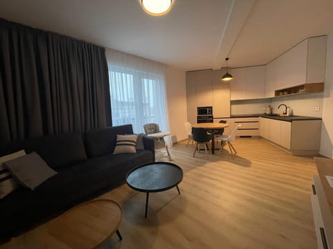 Kitchen or kitchenette, Living room, Seating area, Dining area, stove