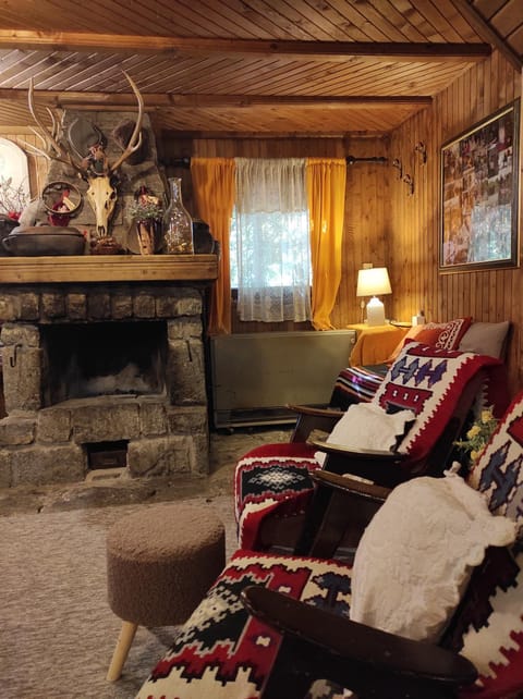 Drvenica Cabin Cabin in Serbia