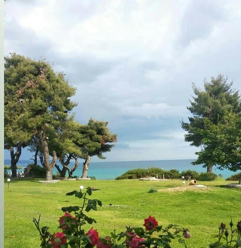 Dolphinian House Apartment in Halkidiki