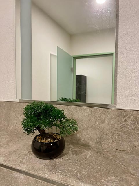 Goldstadt Grand Suite- City Apartment Zentrum Pforzheim Apartment in Pforzheim