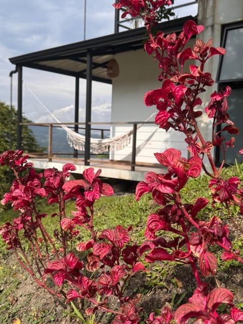 View (from property/room), Balcony/Terrace