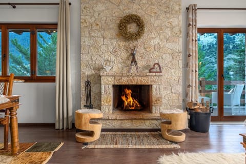 fireplace