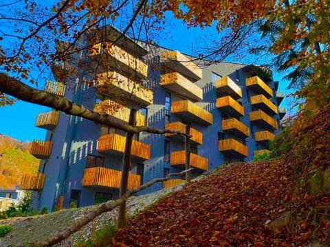 Nikolic 2 Apartmen Apartment in North Macedonia