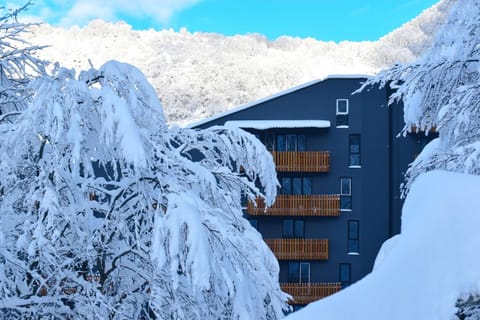 Nikolic 2 Apartmen Apartment in North Macedonia