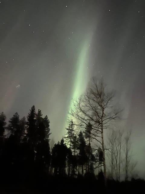 Evening entertainment