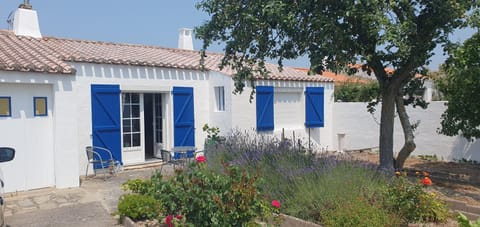 Property building, Day, Garden, Garden view