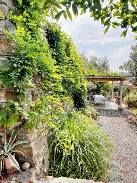 Garden, Balcony/Terrace