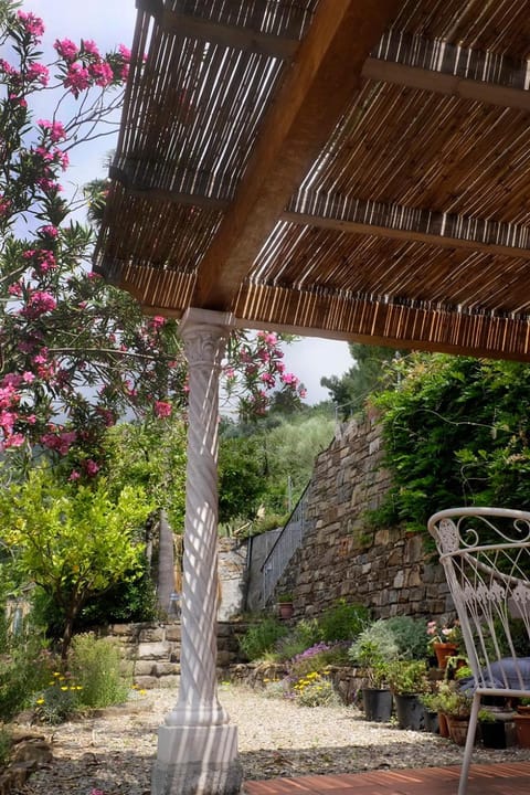 Garden, Balcony/Terrace