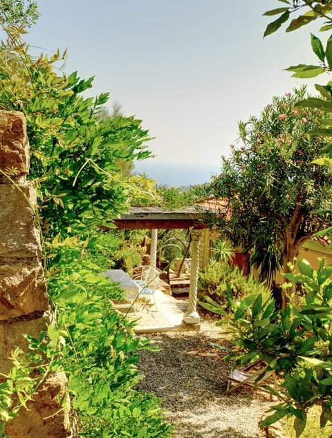 Garden, Balcony/Terrace