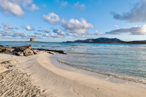 Nearby landmark, Beach
