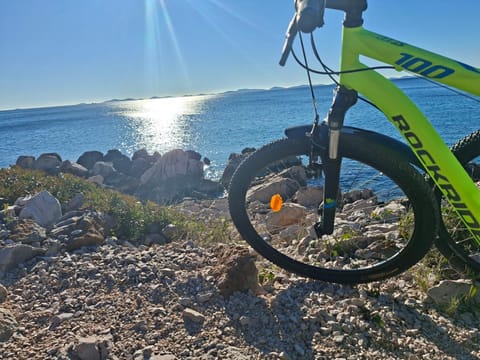 Murter Sunny House House in Murter