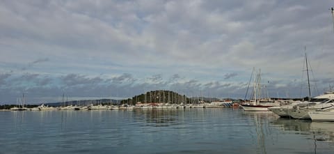 Murter Sunny House House in Murter