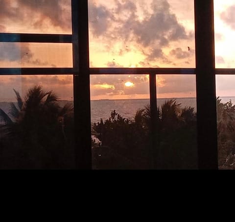 Dove Escapes- 2 bdrm appt in village of Placencia Apartment in Placencia