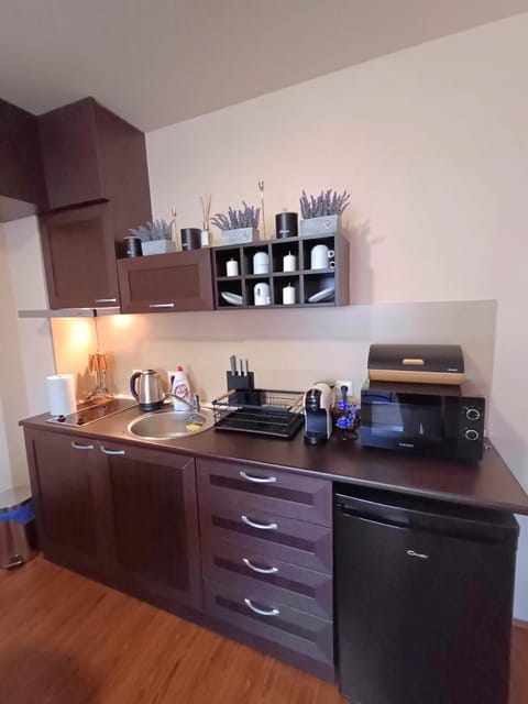 Coffee/tea facilities, Kitchen or kitchenette, stove, toaster
