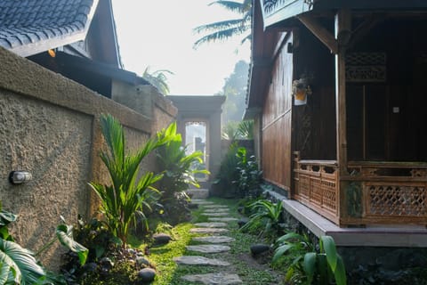 Property building, Garden, Garden view