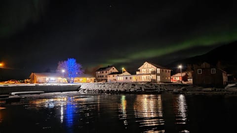 Night, Natural landscape