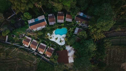 Property building, Natural landscape, Bird's eye view