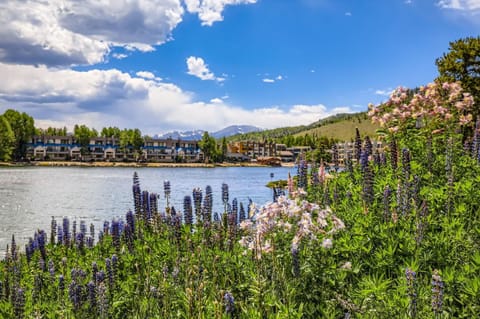 1776 Decatur condo Apartment in Keystone