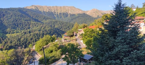 Mountain view