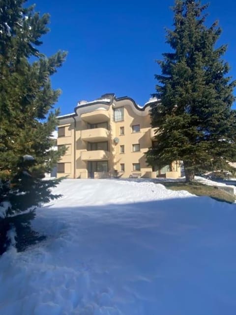 Celerina Retreat - Year Round Adventure Hub Apartment in Saint Moritz