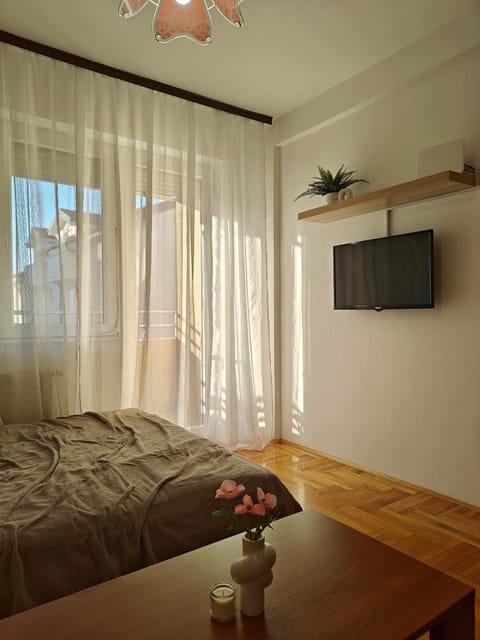 Apartman Nest Apartment in Serbia