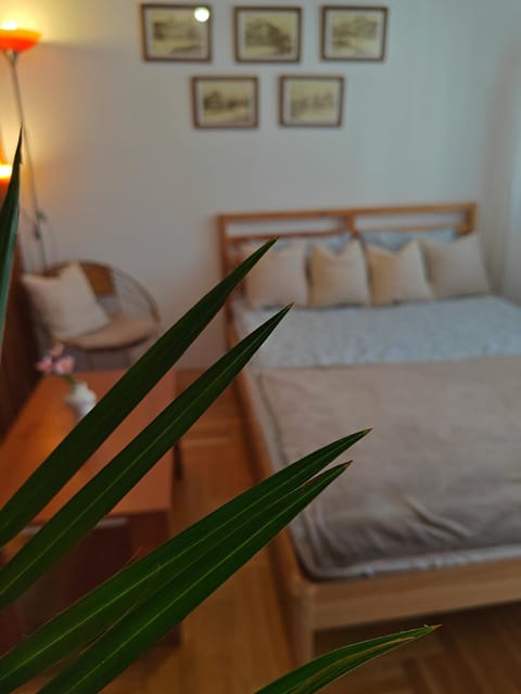 Apartman Nest Apartment in Serbia