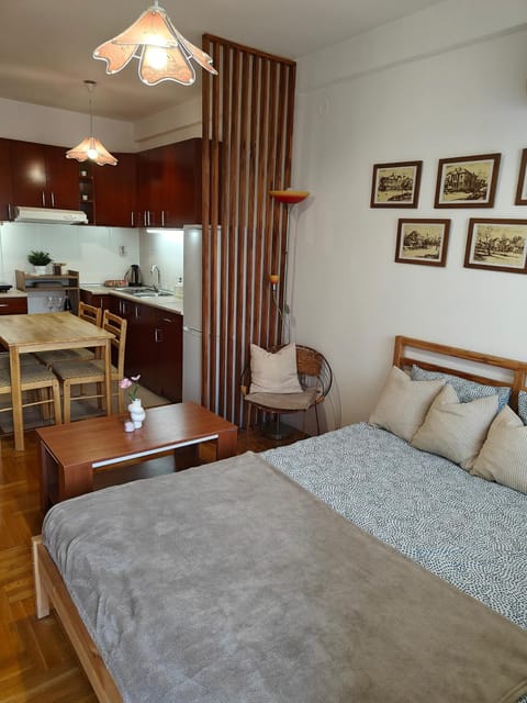 Apartman Nest Apartment in Serbia