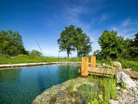 Natural landscape, Garden, Swimming pool