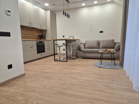 Living room, kitchen