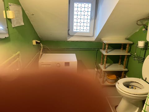 Slobo Velickovic Apartment in Serbia