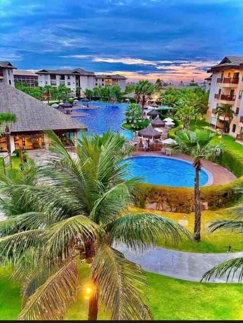 Day, Pool view, Swimming pool