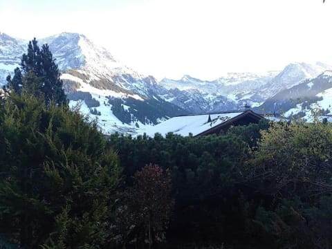 Skirennen von der Terrasse mitverfolgen Apartment in Adelboden