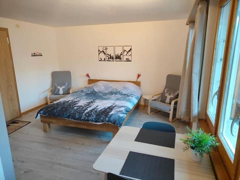 Skirennen von der Terrasse mitverfolgen Apartment in Adelboden