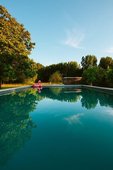 Day, Pool view, Swimming pool