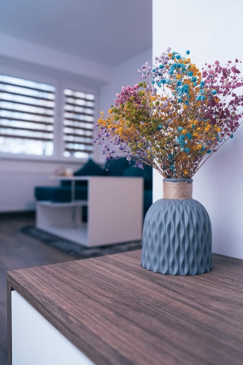 Apartaments near Gabija Apartment in Lithuania