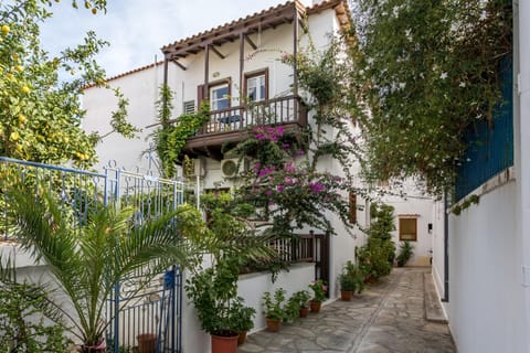 Property building, Neighbourhood, Garden