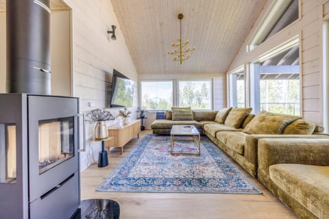 TV and multimedia, Living room, fireplace, fireplace