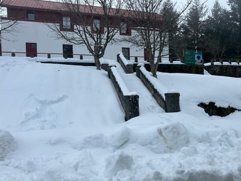 Property building, Winter