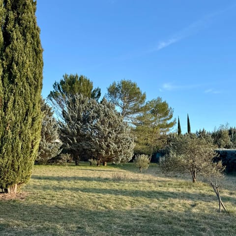 Day, Natural landscape, Garden, Garden view