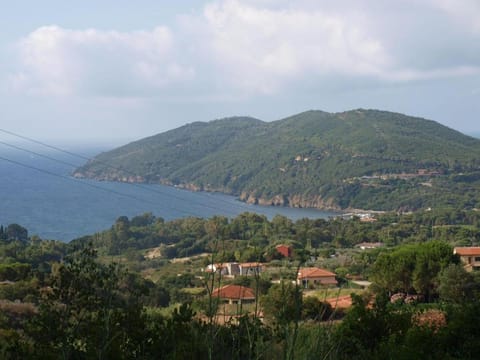 Natural landscape, Bird's eye view
