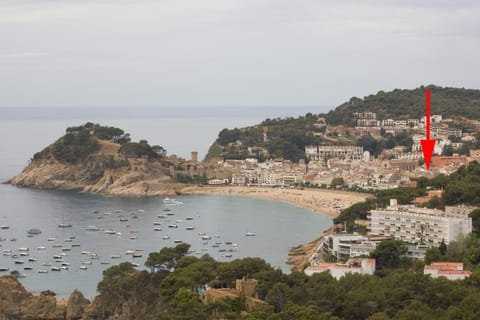 Natural landscape, Beach, Location