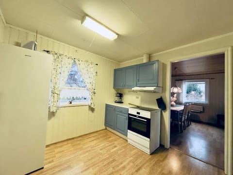 Kitchen or kitchenette, dishwasher, stove