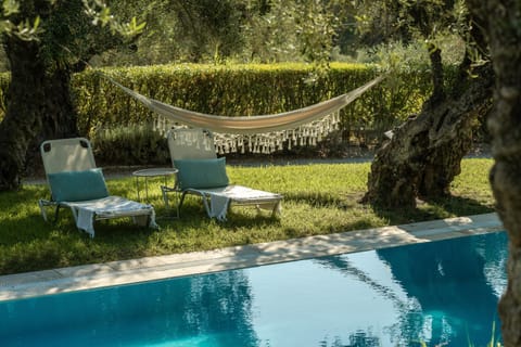 Garden, Swimming pool, sunbed