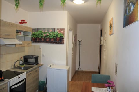 Kitchen or kitchenette, Dining area, oven, stove